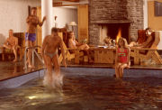 sauna club belgique bruxelles
