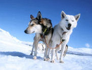 voyage finlande be